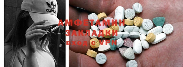 стаф Алзамай