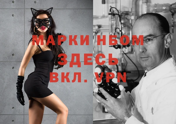 стаф Алзамай