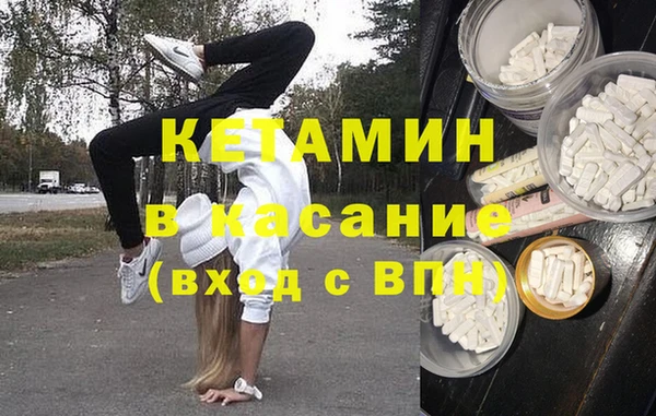 стаф Алзамай