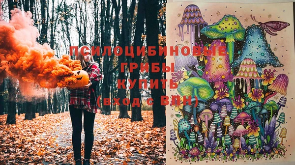 стаф Алзамай