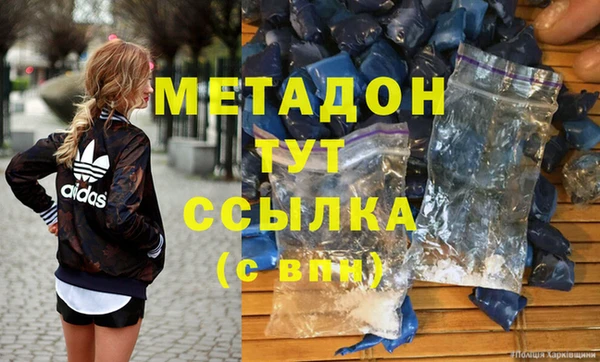 стаф Алзамай