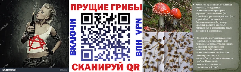 Галлюциногенные грибы GOLDEN TEACHER  купить  сайты  blacksprut сайт  Удачный 